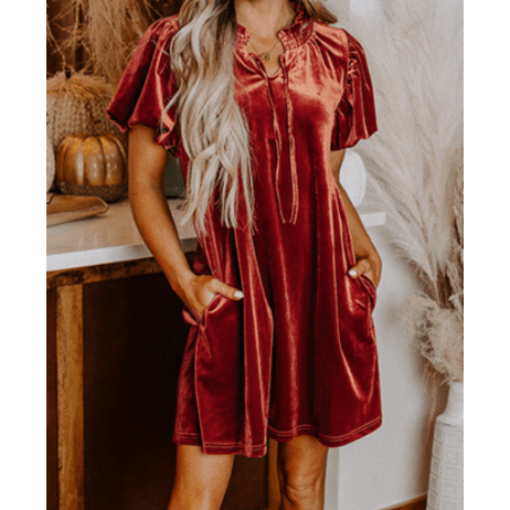 Bek Cinnamon Velvet Smocked Neckline Puff Sleeve Shift Mini Dress