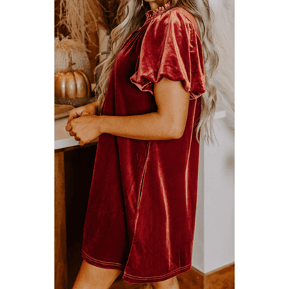 Bek Cinnamon Velvet Smocked Neckline Puff Sleeve Shift Mini Dress